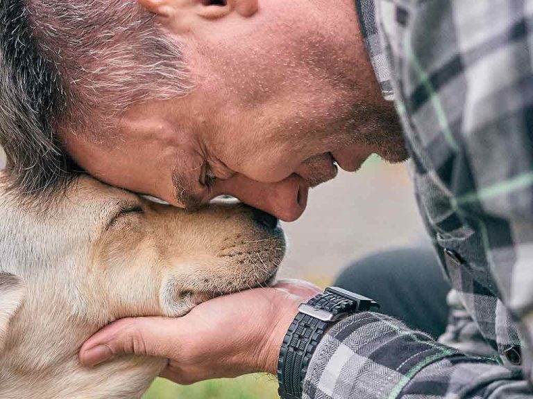 Собаки-психологи