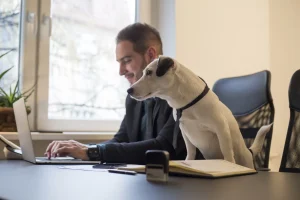 Dog in Office with Businessman