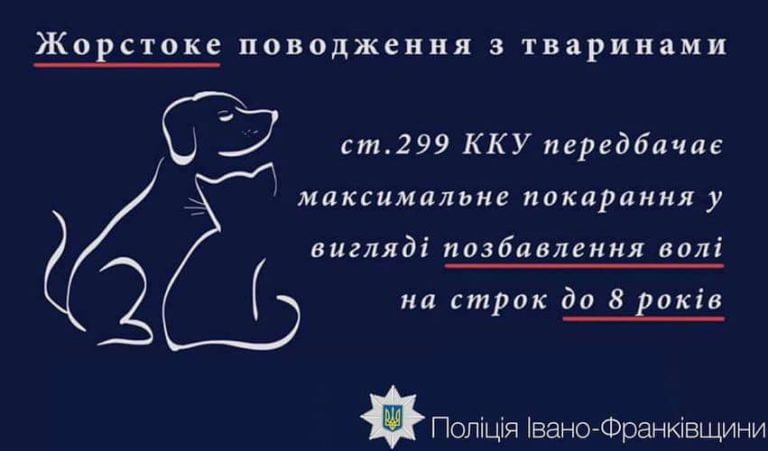 Жорстоке поводження