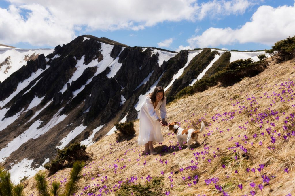 Джек Рассел тер'єр Дарсі та його власниця