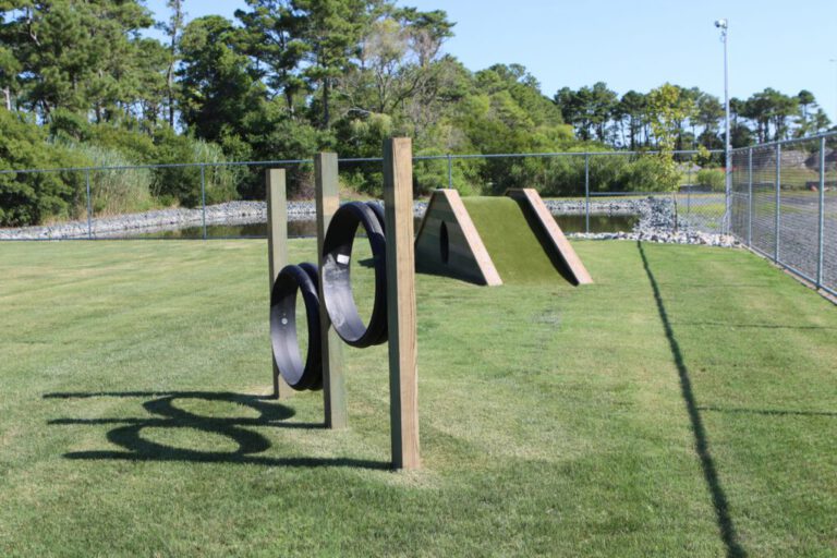 Гірка та трава