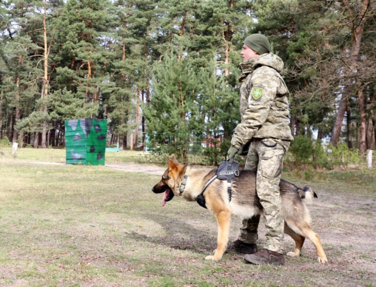 День кінолога