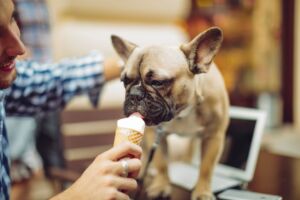 Ice-cream