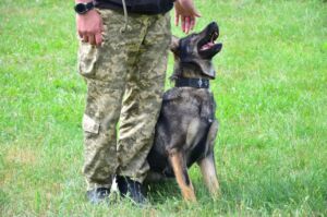 Кінолог з собакою