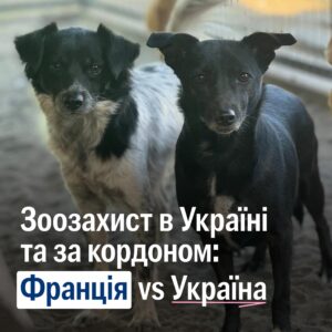 Зоозахист